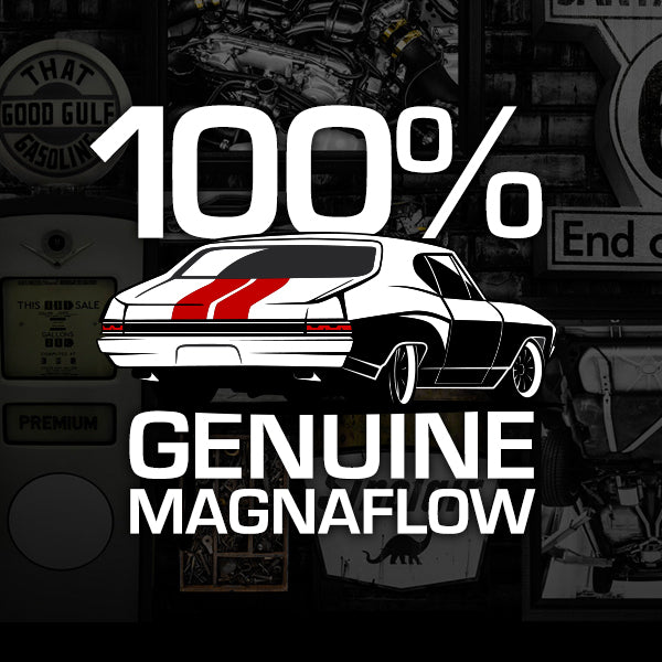 19101 2015-2017 FORD Mustang V8 Magnaflow Cat-Back Exhaust System